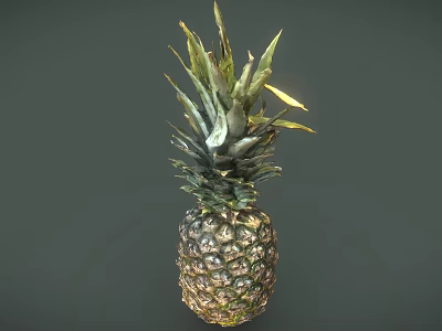 Fresh Juicy Ripe Pineapple Tropical Fruit With Green Leaves Isolated On Dark Background 3d model