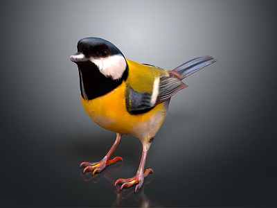 Colorful Bird With Black Head White Cheek Yellow Body Blue Gray Wings And Orange Claws 3d model
