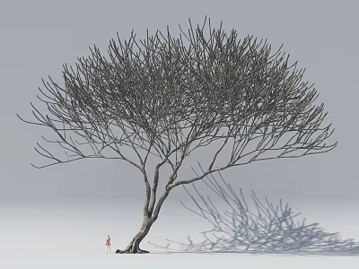 Leafless Tree With Wooden Trunk Small Figure Under Gray Background And Tree Shadow 3d model