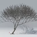 Leafless Tree With Wooden Trunk Small Figure Under Gray Background And Tree Shadow 3d model