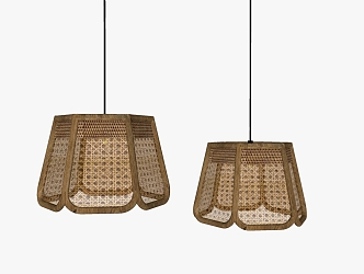 Modern Chandelier Homestay Chandelier 3d model