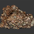 Natural Wooden Stone With Earthy Brown Texture And Rough Surface
