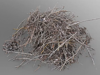Dried Plant Branches And Fallen Leaves Pile Of Natural Garden Debris Collection 3d model