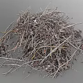 Dried Plant Branches And Fallen Leaves Pile Of Natural Garden Debris Collection