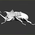 Shiny Silver Beetle Model With Large Horns And Legs On Black Reflective Surface