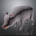 Detailed 3D Model Pink Pig Standing On Smooth Surface With Gray Background