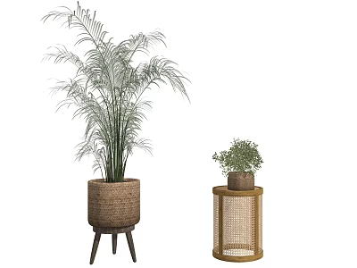 Large And Small Potted Plants In Woven Basket Planter And Rattan Side Table Stand 3d model