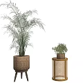 Large And Small Potted Plants In Woven Basket Planter And Rattan Side Table Stand