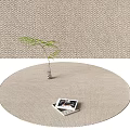 Woven Beige Round Area Rug with Small Plant and Photo Frames for Living Room Decor