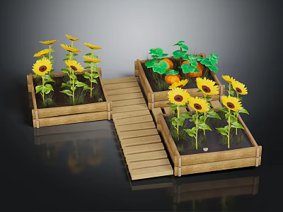 Garden with Wooden Planters Growing Sunflowers and Pumpkins Along Wooden Walkway 3d model