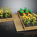 Garden with Wooden Planters Growing Sunflowers and Pumpkins Along Wooden Walkway