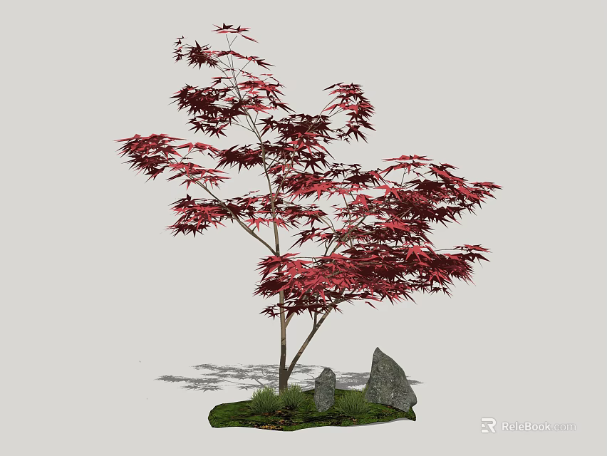 Red Maple Tree With Lush Red Leaves And Decorative Stones On Green Grass 3d model 