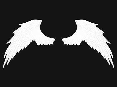 White Wing Shaped Decorative Wall Decor for Home Interior With Black Background 3d model