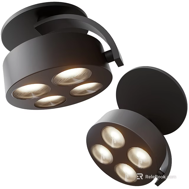 Modern Black Downlights and Spotlights with Multi Light Heads for Ceiling Lighting 3d model