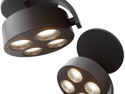 Modern Black Downlights and Spotlights with Multi Light Heads for Ceiling Lighting 3d model