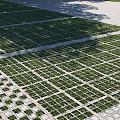 Green Eco Friendly Parking Lot With Neatly Arranged Grass Pavers And Growing Grass