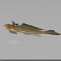 Brown and White Spotted Fish with Unique Fins Swimming in Gray Background with Reflection Below