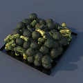 Wooden and Stone Decorative Tray Holding Green Pumpkins and Yellow Ropes