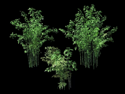 Green Bamboo Plants With Tall Stems And Lush Leaves For Natural Landscaping 3d model