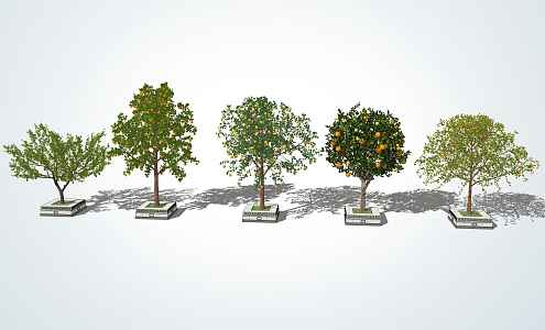 Modern Fruit Trees 3d model