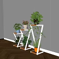 Diverse Bonsai Potted Plants On Wooden And White Plant Stands With Decorative Pots