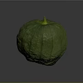 Organic Fresh Green Round Pumpkin With Textured Skin And Yellow Stem