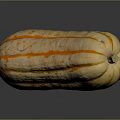 Fresh Long Shaped Pumpkin With Orange Green Stripes For Household Kitchen