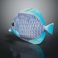 Vibrant Purple And Blue Disc Fish With Iridescent Scales And Orange Eye On Dark Background