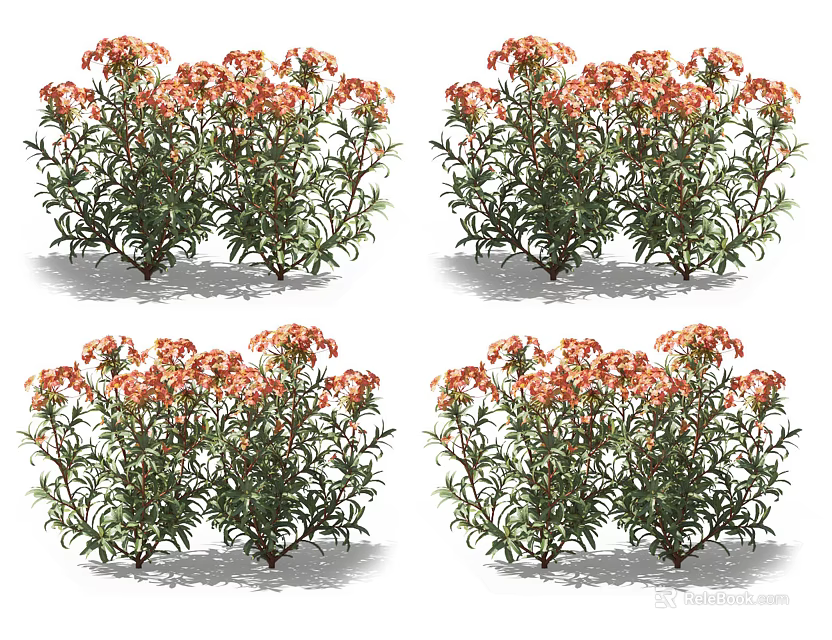 Vibrant Orange Flowering Plants With Lush Green Leaves And Bright Blooms 3d model 