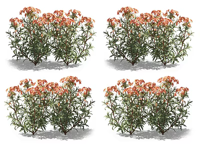 Vibrant Orange Flowering Plants With Lush Green Leaves And Bright Blooms 3d model