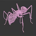 Detailed Black Ant Figure With Long Legs And Brown Abdomen On Dark Background