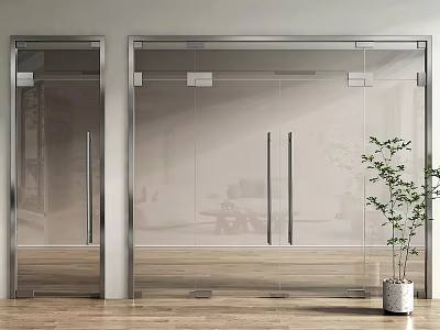 Modern Glass Sliding Doors With Metal Frames In Interior Space With Plant 3d model