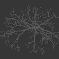Bare Branch Tree Against Black Background With Human Silhouette For Size Reference 3d model