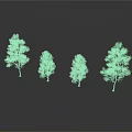 Four Different Shaped Trees With Green Leaves And Bare Branches On White Background With Reflections