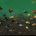 Colorful Aquatic Animals Fish And Crabs In Underwater Environment With Aquatic Plants And Sand