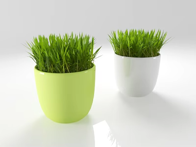 Two Potted Plants In Green And White Pots With Fresh Green Grass 3d model