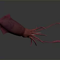 Pink Squid Marine Creature With Long Tentacles And Detailed Eyes In 3D Rendering