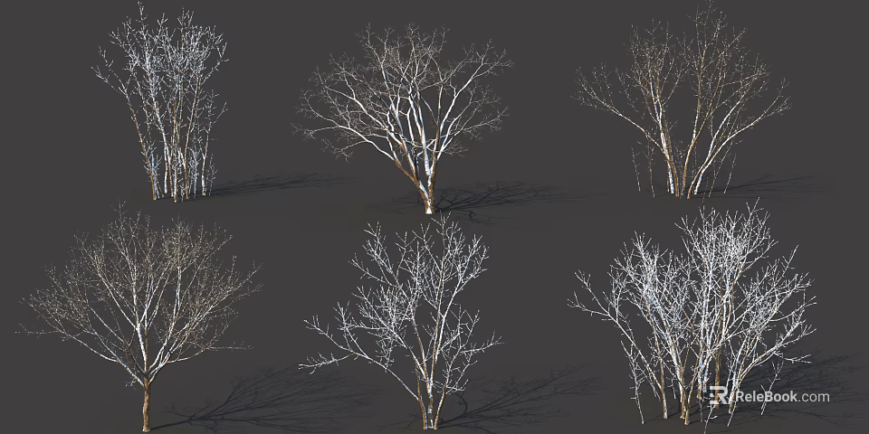 Various Bare Arbor Trees With Diverse Branch Structures And Shadows On Dark Background 3d model 