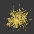 Tall Grass with Slender Stems Green and Yellow Leaves in Natural Form Against Black Background