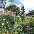 Vibrant Flower Garden With Green Shrubs Purple Pink Blooms Trees And Blue Sky