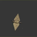 Origami Crane Paper Art Figure Standing in Falling Rain with Water Droplets
