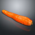 Fresh Orange Carrot as Healthy Crunchy Root Vegetable on Dark Background 3d model