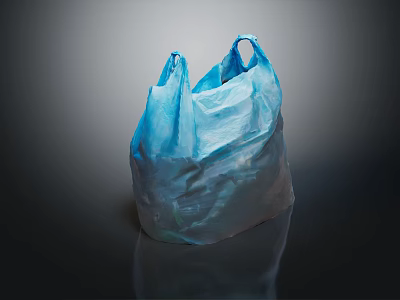 Blue Reusable Plastic Shopping Bag For Daily Use And Storage 3d model