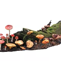 Diverse Colorful Mushrooms Growing On Mossy Tree Stump In Natural Forest