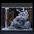 Clear Glass Aquarium Tank With Decorative White Corals Orange Corals And Natural Rocks
