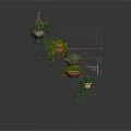 Decorative Hanging Planters With Trailing Vines And Various Styles Suspended On Wooden Rod