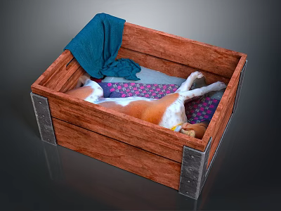 Warm Style Pet Dog Puppy Sleeping Wooden Case Blanket Cute Animal Land Animal Wild Animal Large Animal Mammal 3d model