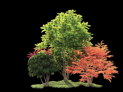 Various Trees with Green and Red Leaves Growing on Lush Grass 3d model