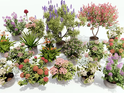 Colorful Potted Flowers and Plants with Various Blooms and Green Foliage 3d model