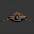 Brown and Orange Patterned Sea Turtle With Stretching Limbs On Dark Surface